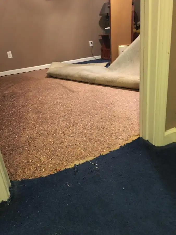 Carpet pad removal revealing water damage during Water Mitigation Services in Brooklyn Park