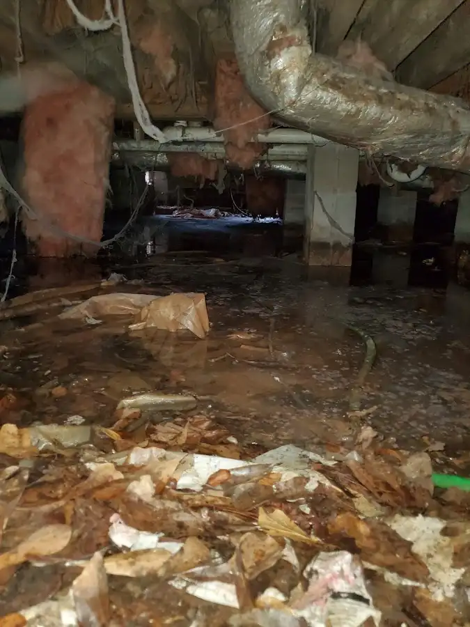 Crawl space flood assessment for Leak Detection & Repair in Brooklyn Park